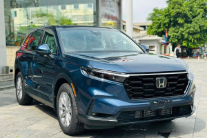 CẬP NHẬT GIÁ LĂN BÁNH MỚI NHẤT